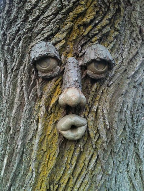 A Tree With A Face Tree Faces Tree Art Garden Art