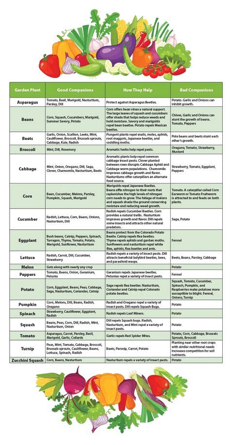 9 Grow Chart for Vegetables ideas | companion planting, garden companion planting, vegetable garden