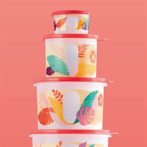 Kit Tupper Caixas Views Tropical Compras Tupperware