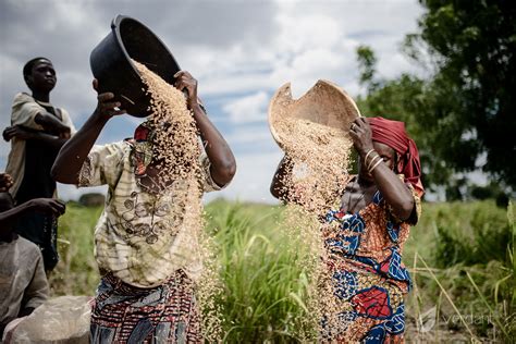 Can technology save agriculture in Nigeria? | Daily Nigerian