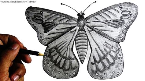 How To Draw A Butterfly For Kids Step By Step Pencil Drawing With