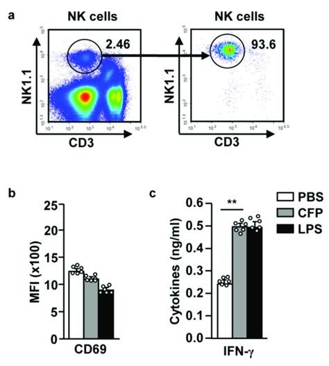 Cfp Directly Induced The Secretion Of Ifn γ By Nk Cells Nk Cells Were Download Scientific