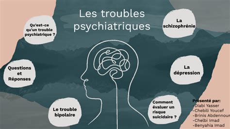 Les Troubles Psychiatrique By Yasser Diabi On Prezi