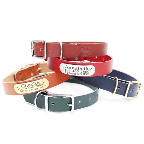 Dog Collar With Nameplate | Custom | 20 Colors & 22 Styles