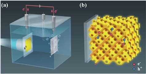 Scheme A Experimental Setup For Pec Water Splitting And B