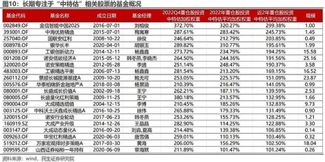 哪些基金可能受益于“中特估”概念？ 民生金工 报告摘要 Summary “中特估”概念股票表现与特征分析。2022年11月21日以来