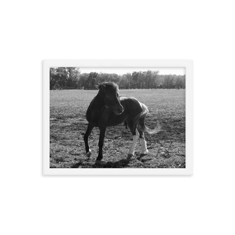 black white horse print - Nature Art Decor & More