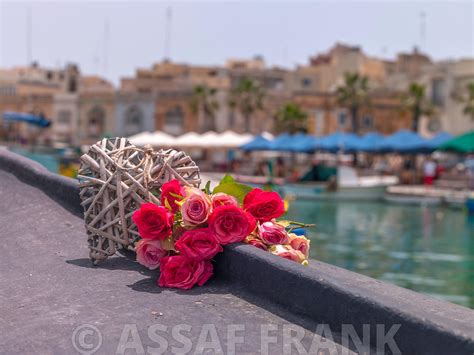 Assaf Frank Photography Licensing Bunch Of Roses And Heart At