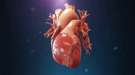 I Will Do 3d Animation Medical Animation 3d Medical Animation