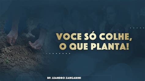 Você só colhe o que planta YouTube