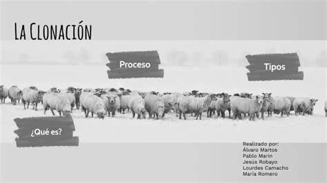 La Clonación By María Romero Morillo On Prezi