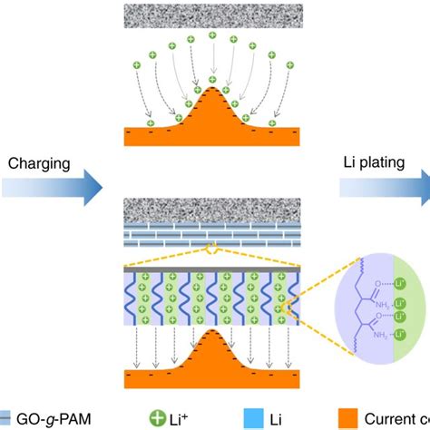 Schematic Diagram Of Li Deposition On Electrodes With Microscopic