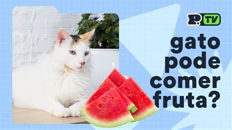 Quais S O As Frutas E Legumes Que Gatos Podem Comer Petz Tv