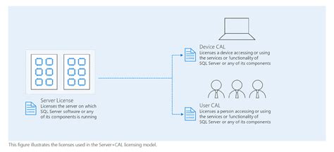 Buy Sql Server 2019 Device Cal Product Os Pckeys £249