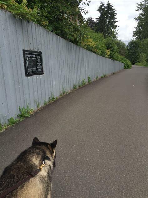 Snohomish River Trail, Snohomish, WA - MapQuest