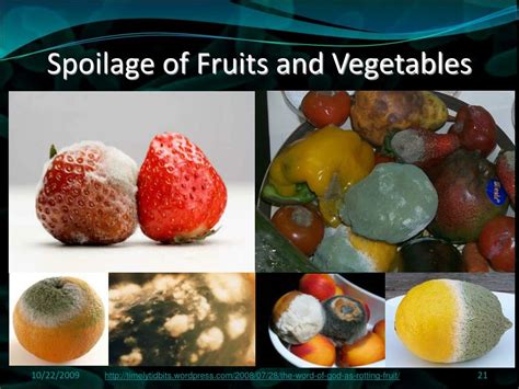 Ppt Food Spoilage Stinkies Slimies And Biofilms Powerpoint