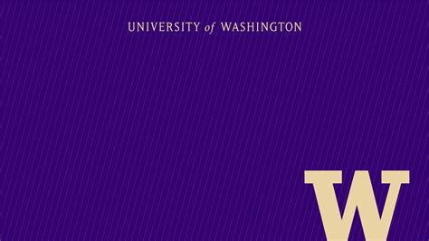 100 University Of Washington Wallpapers