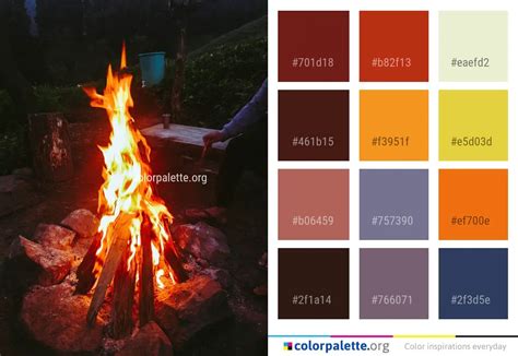 Campfire Fire Bonfire Color Palette