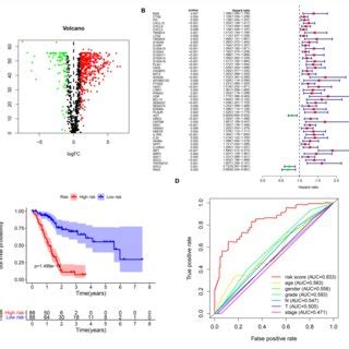 Construction Of A Prognostic Immune Related Gene Signature For