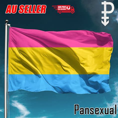 Pansexual Large Flag 150x90cm Pan Sexual Lgbt Lesbian Gay Rainbow Mardi