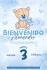 Plantillas De Bebe Gratis Y Personalizables Canva