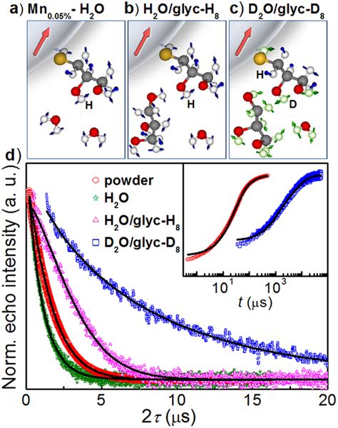 Spin dynamics for quantum dots in different matrices. Representation of ...