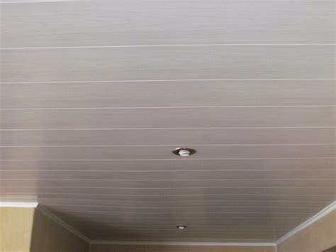 Cielo Raso Pvc Plástico 7 Mm Producto Instalado 69000 En Mercado