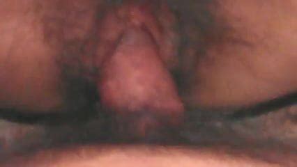 Pussy No Free Pussi Pussy Porn Video XHamster XHamster