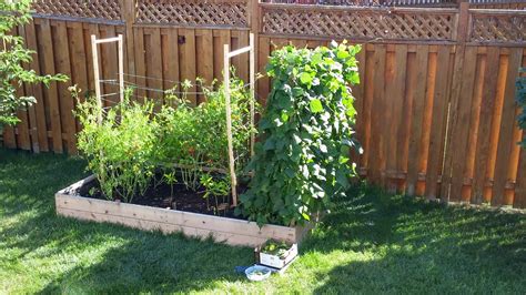 raised garden bed - RedFlagDeals.com Forums