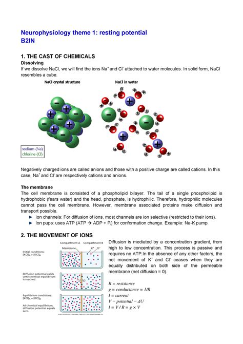 Summary Introduction In The Neurosciences Complete Neurophysiology