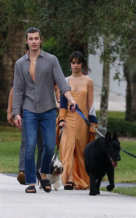 CAMILA CABELLO Out with Her Family Dogs in Miami 01/16/2021 – HawtCelebs