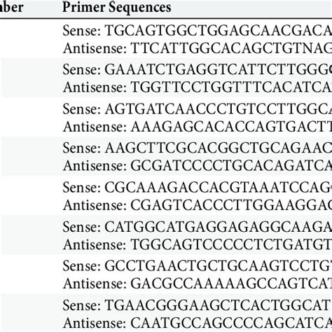 List Of Genes With Accession Number And Sequences Of Gene Specifi C