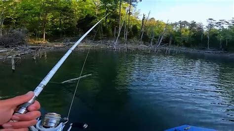 Prespawn Fishing Changing Patterns Based On Conditions Youtube