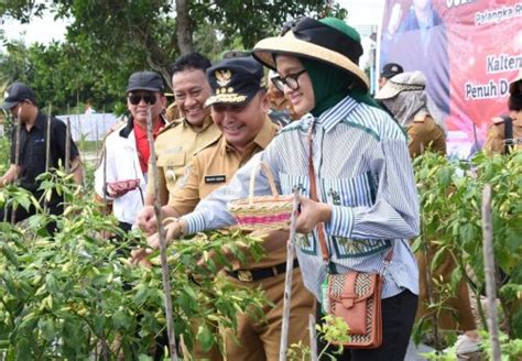 Setda Prov Kalteng Gubernur Didampingi Ketua TP PKK Kalteng Panen