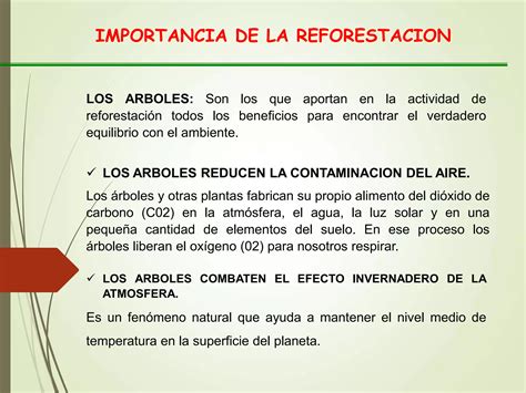 Diapositivas Reforestacion Ppt