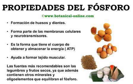 Toxicidad del fósforo Botanical online