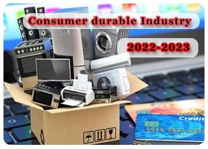 Indian Consumer Durables Industry Consumer Durables Industry At A