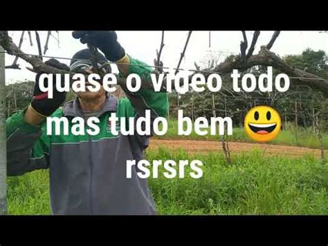 Melhor Lua Para Poda De Videiras P Youtube