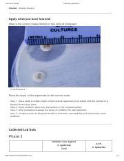 Antibiotic Sensitivity Testing Kirby-Bauer Method .pdf - 10/17/22 8:59 ...