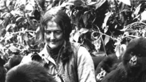 Dian Fossey, 1932-1985: She Gave Her Life to Protecting the Mountain Gorillas