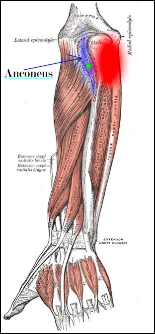 How To Treat Tennis Elbow Part 1