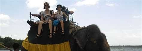 Elephant Safari Grand Gangula Dambulla