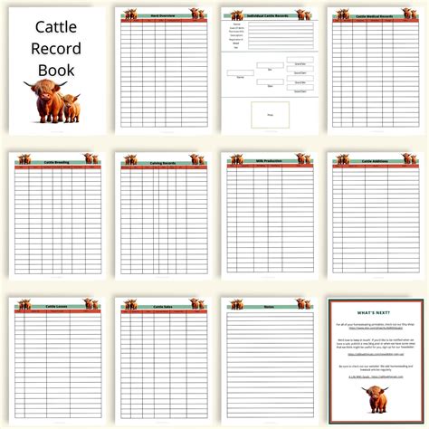 Printable Highland Cattle Theme Cattle Records Book Instant Download 8