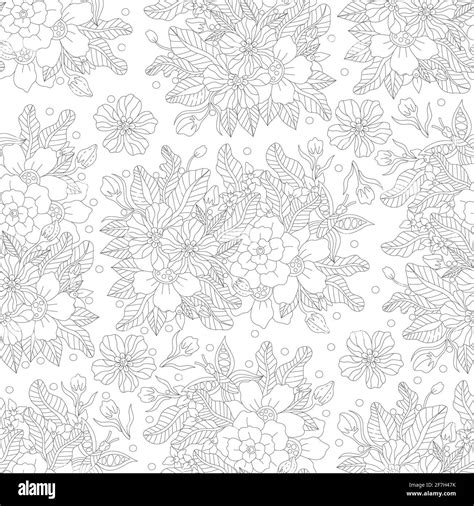 Livre De Coloriage Adulte Banque Dimages Vectorielles Alamy