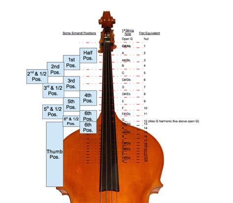 Db 11 Position Numbering On The Double Bass Christopher J Hartzog Music