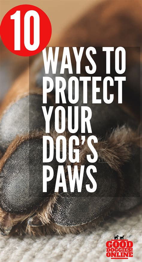 How To Protect Your Dogs Paws In The Winter Good Doggies Online