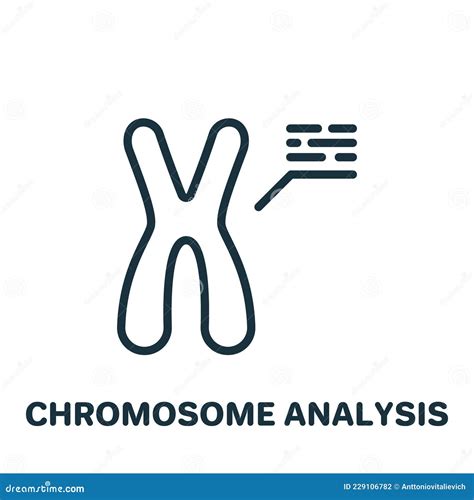 Linear Chromosome Icon From Chemistry Outline Collection Thin Line