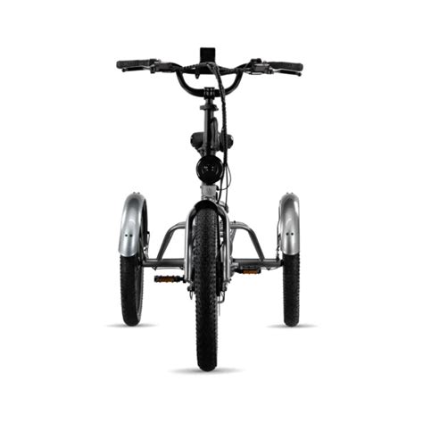 Lectric Xp Trike Folding Ebike Emotopdx