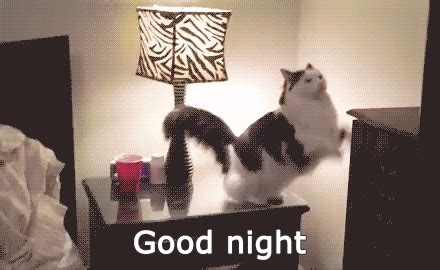 Good Night GIFs - The Best GIF Collections Are On GIFSEC