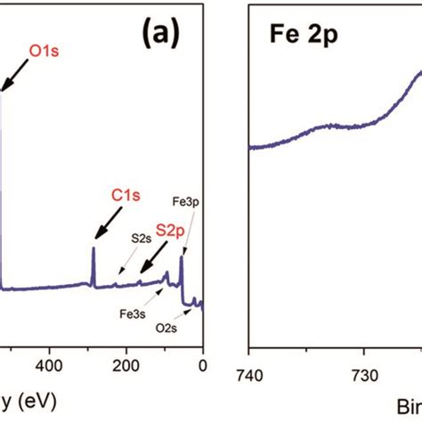 Xps Spectra Of Fe3o4 Msa Nanoparticles A Xps Survey Spectrum B